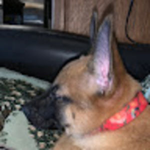 Meet your Posher, Arielle